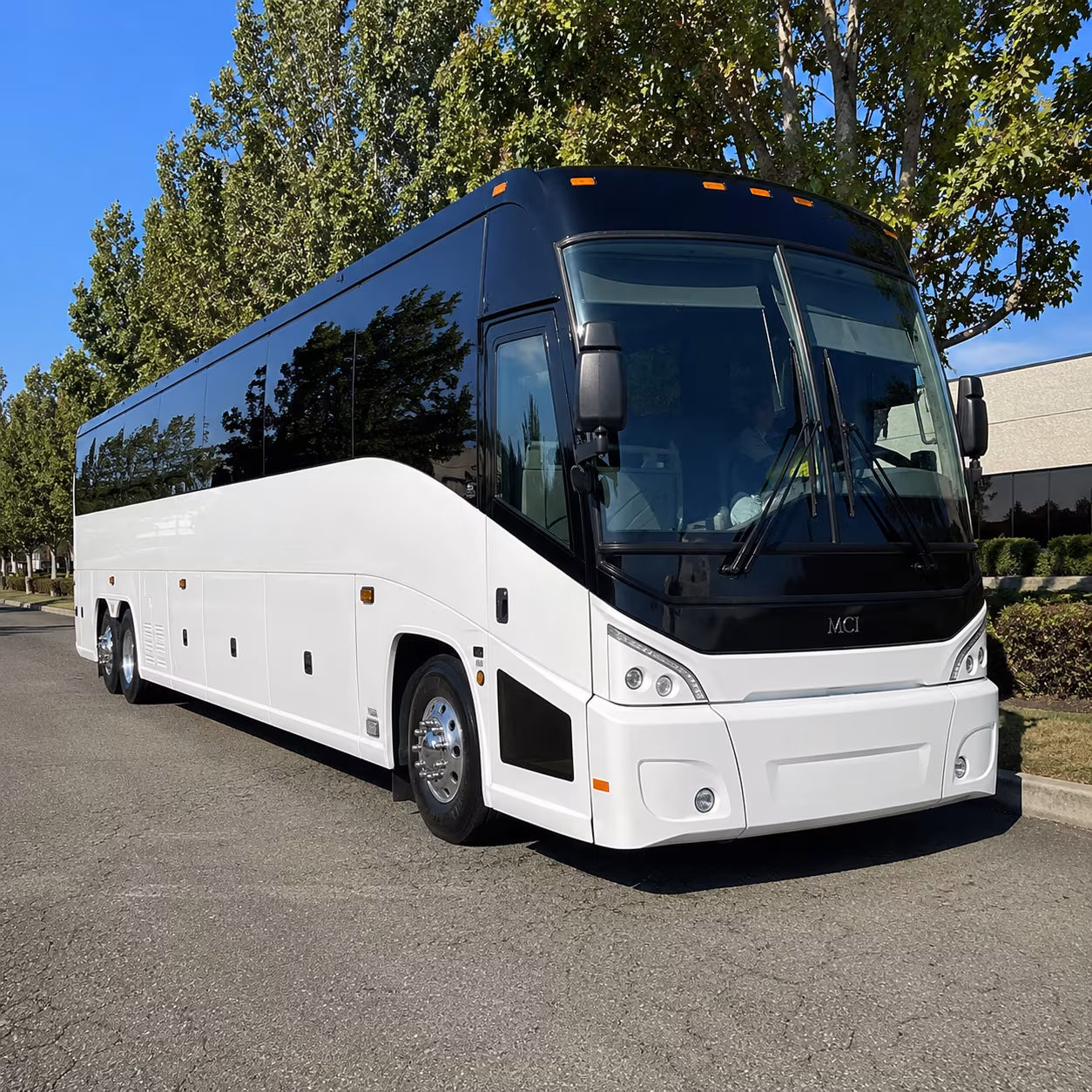 somerville 50 passenger charter bus